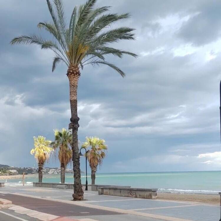 Foto de perfil de Gimena
