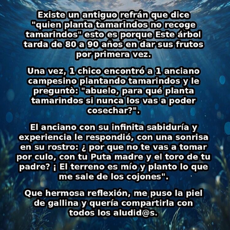 Foto de perfil de L VICENZ