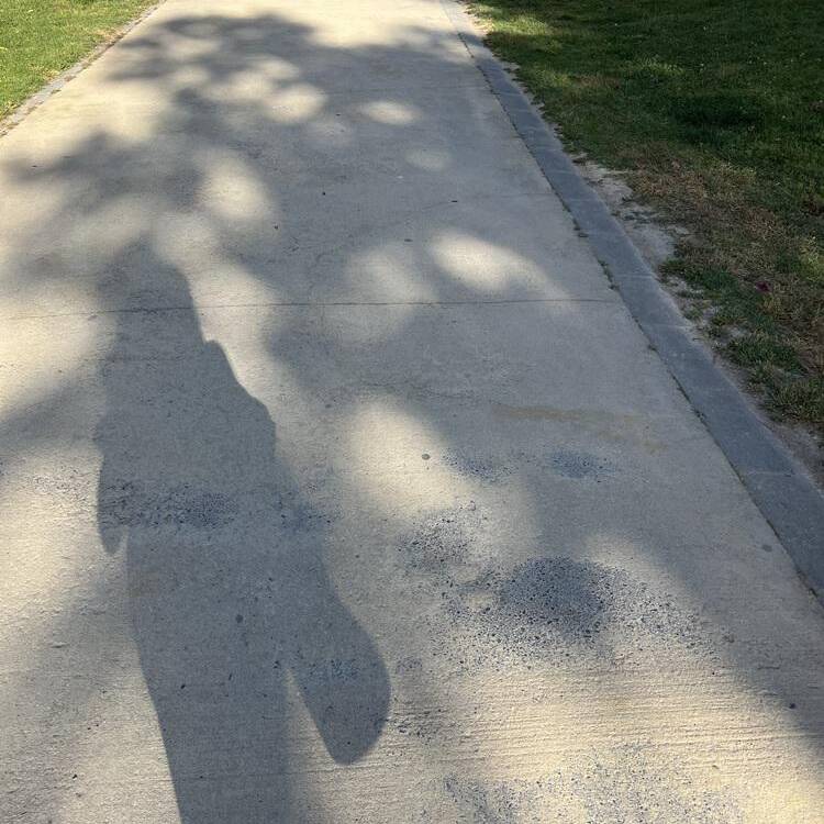 Foto de perfil de Su