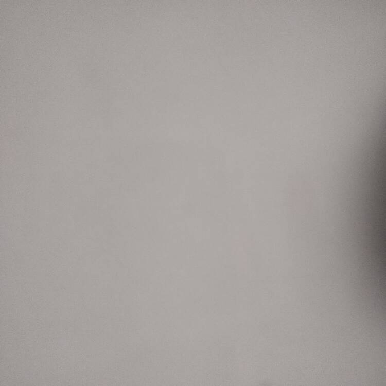 Foto de perfil de Javier