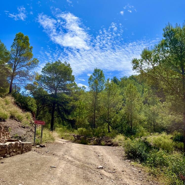 Foto de perfil de Adnaloy