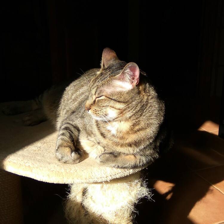 Foto de perfil