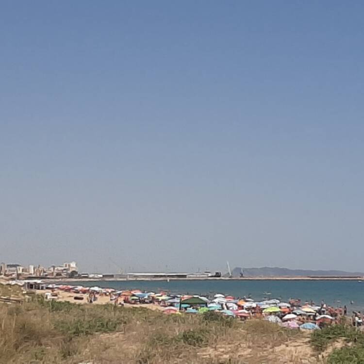 Foto de perfil de RPM