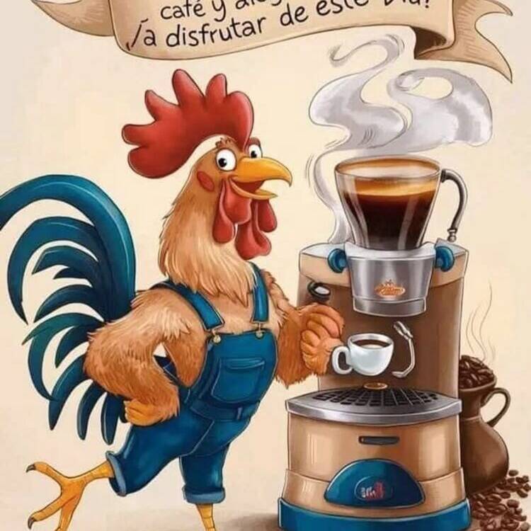 Foto de perfil de Levantinista