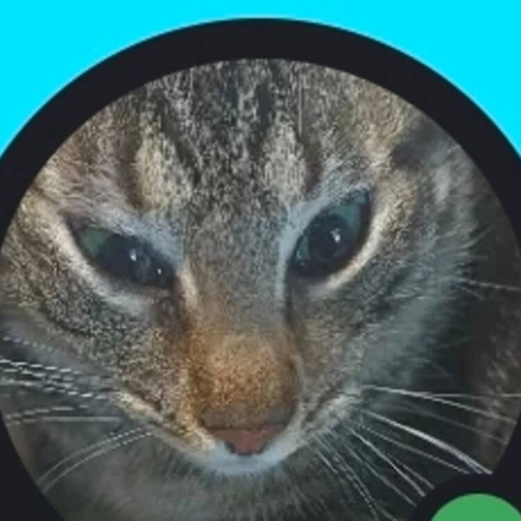 Foto de perfil de Raúl