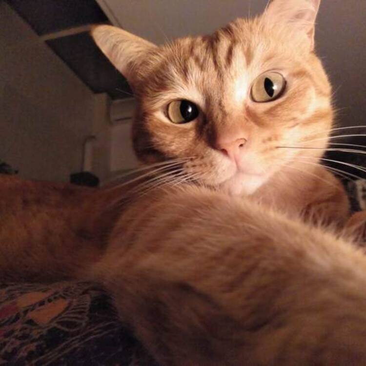 Foto de perfil