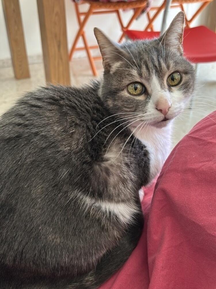 Foto de perfil de Carmen