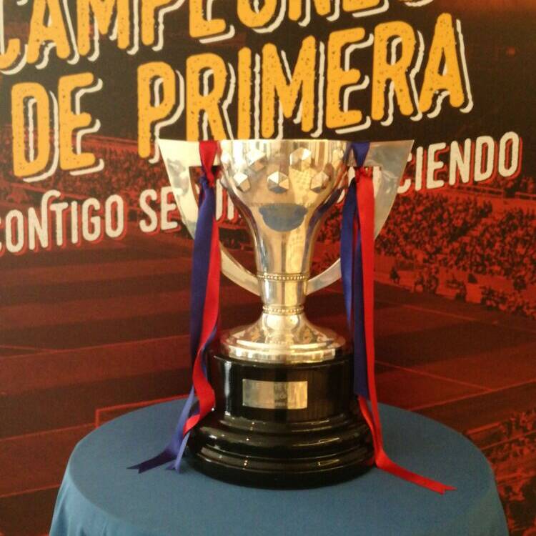 Foto de perfil de Jose