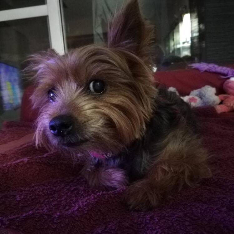 Foto de perfil