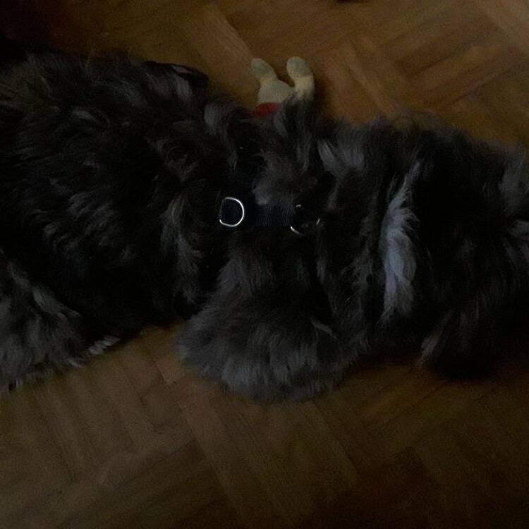 Foto de perfil