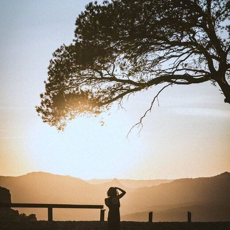 Foto de perfil de anton