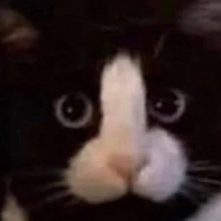 Foto de perfil de salva