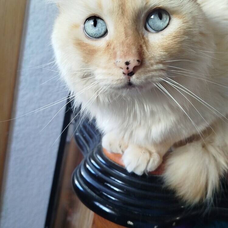 Foto de perfil de Marcos