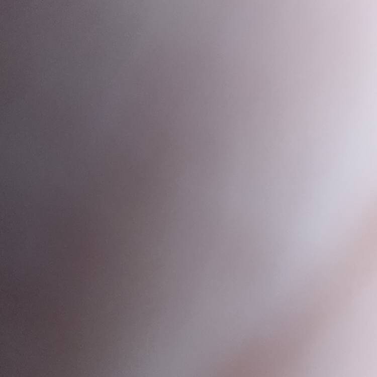 Foto de perfil de Lucia