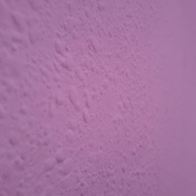 Foto de perfil de Anton