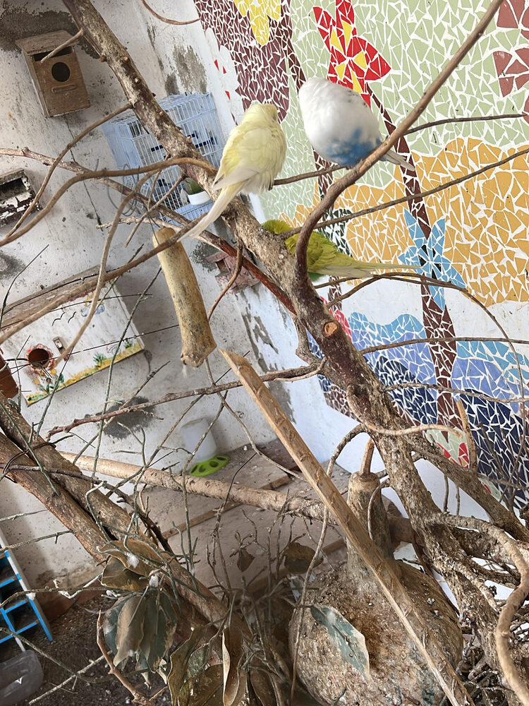 Foto de perfil de Ben