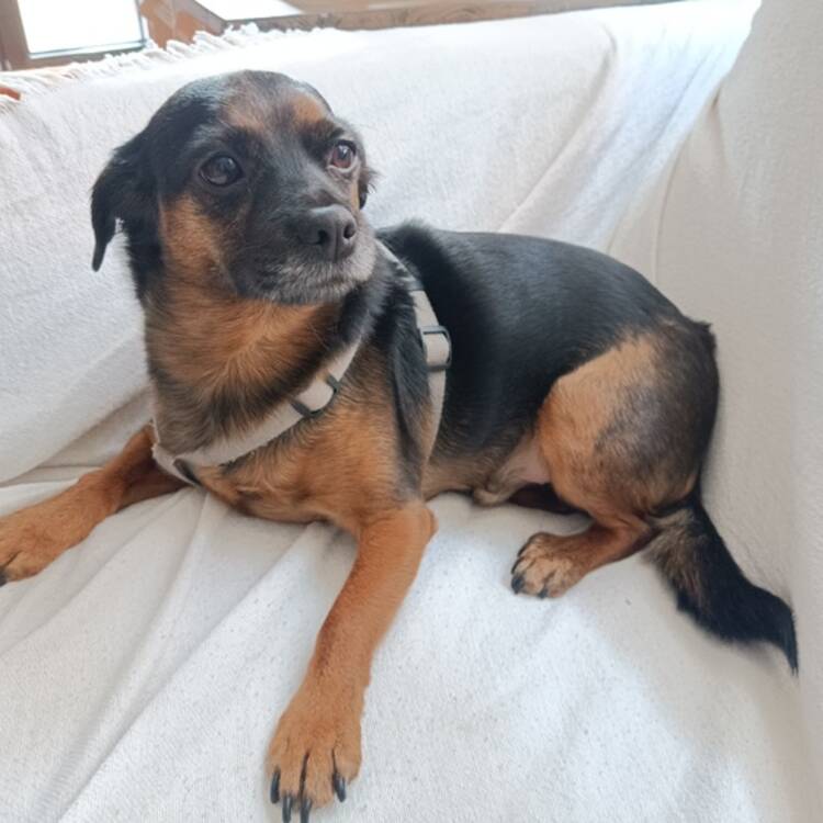 Foto de perfil