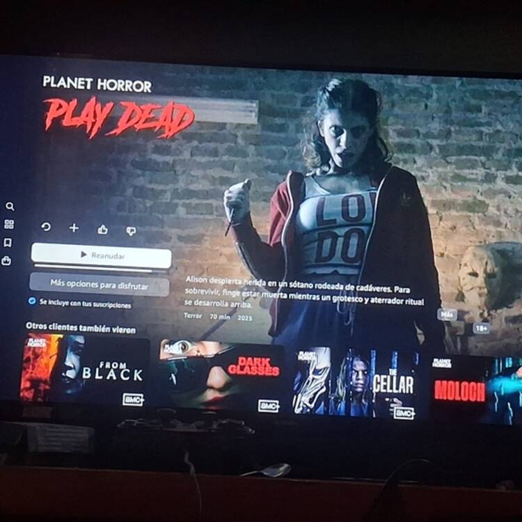 Foto de perfil de Lili