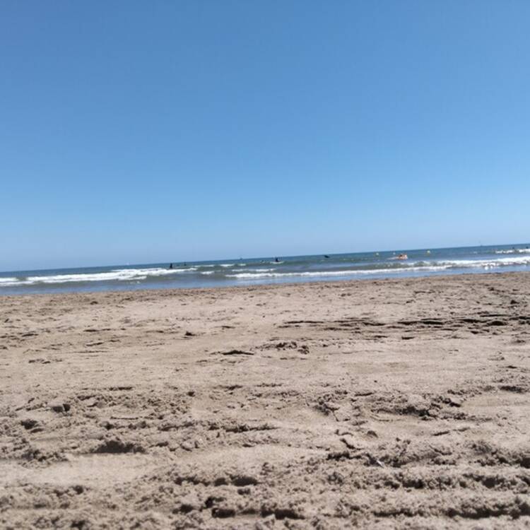 Foto de perfil de Patricia