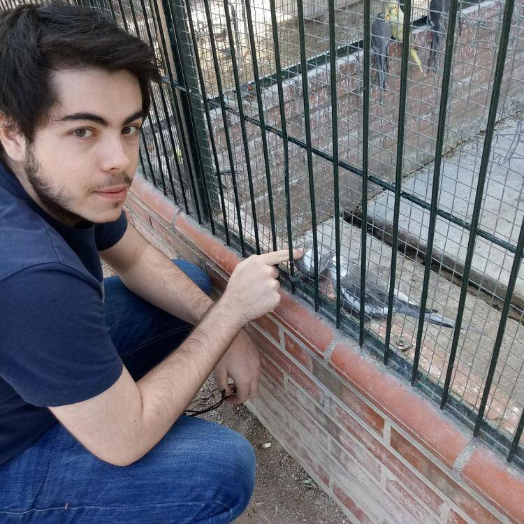 Foto de perfil