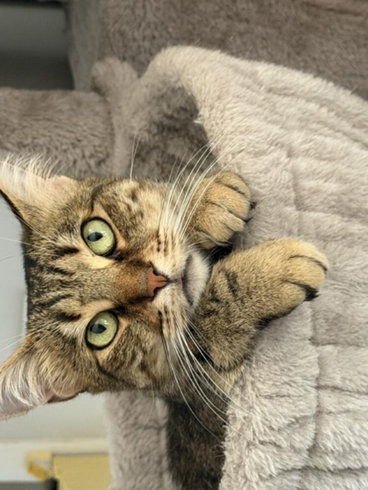 Foto de perfil de Mayka