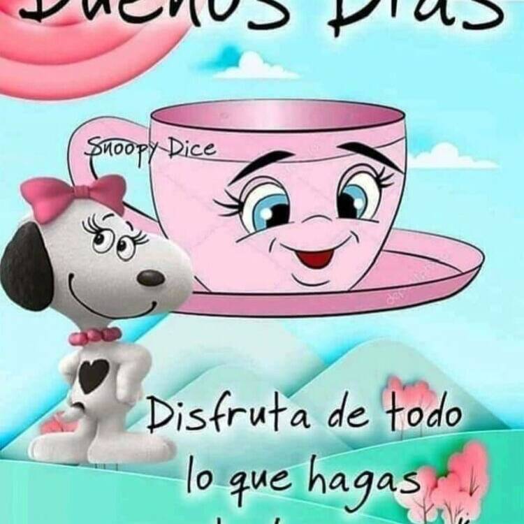 Foto de perfil de Jose