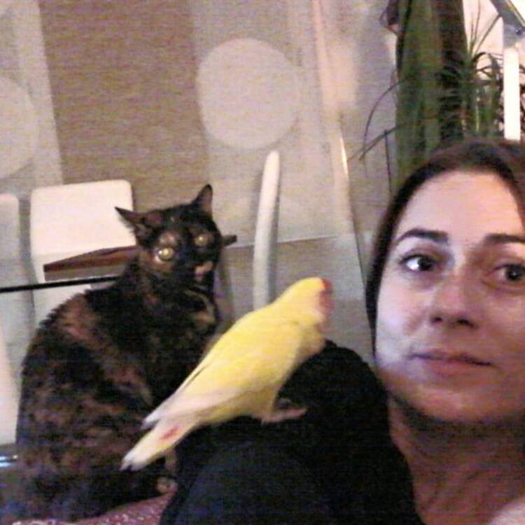 Foto de perfil