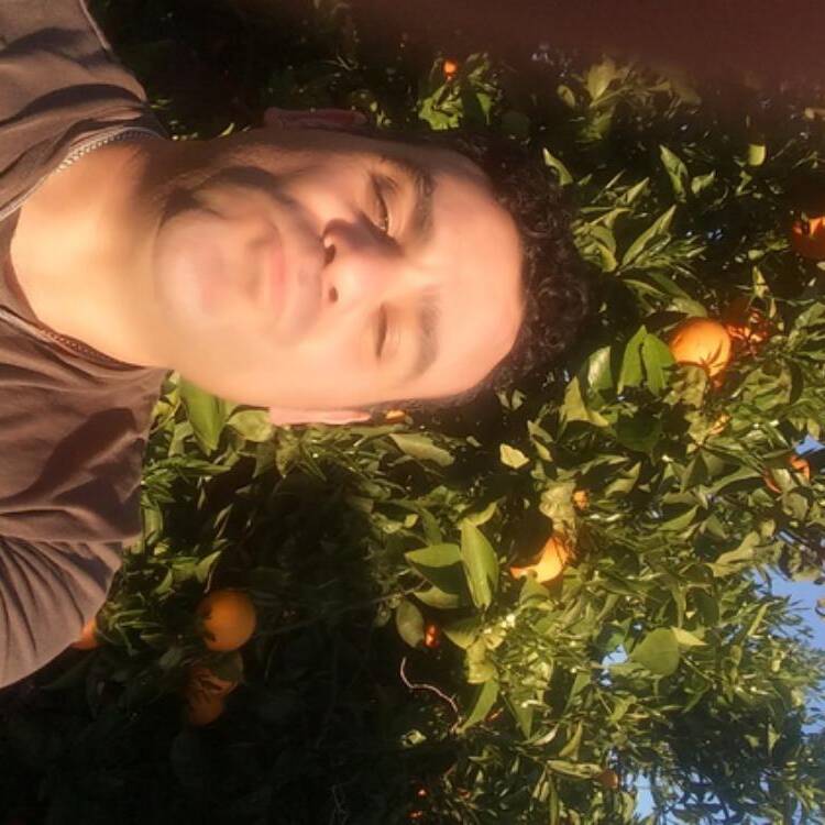 Foto de perfil de fernando