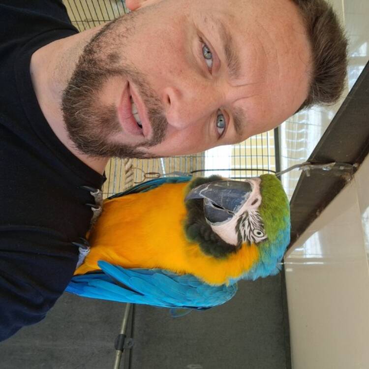 Foto de perfil