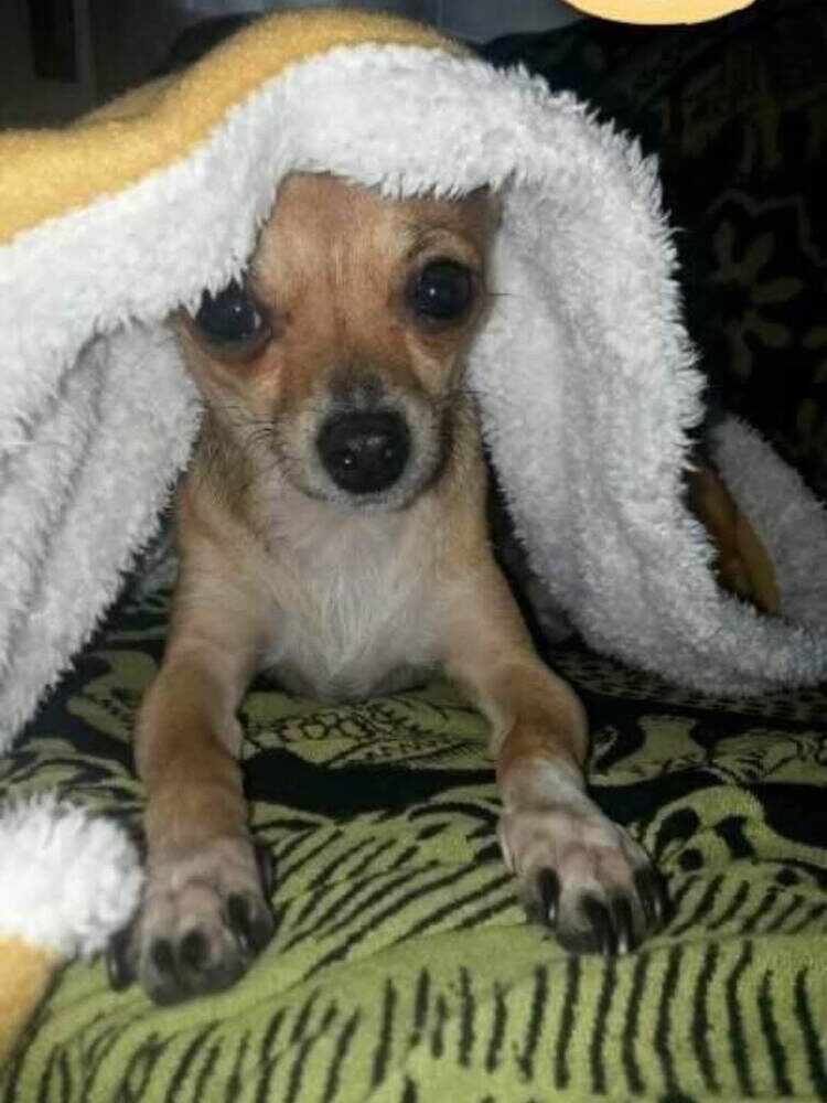 Foto de perfil de Gloria