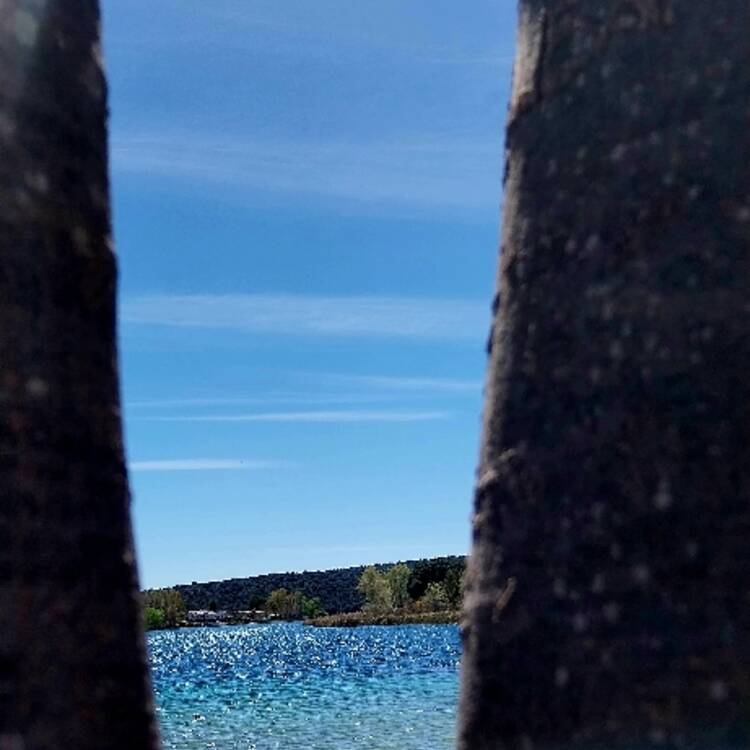 Foto de perfil de Cris