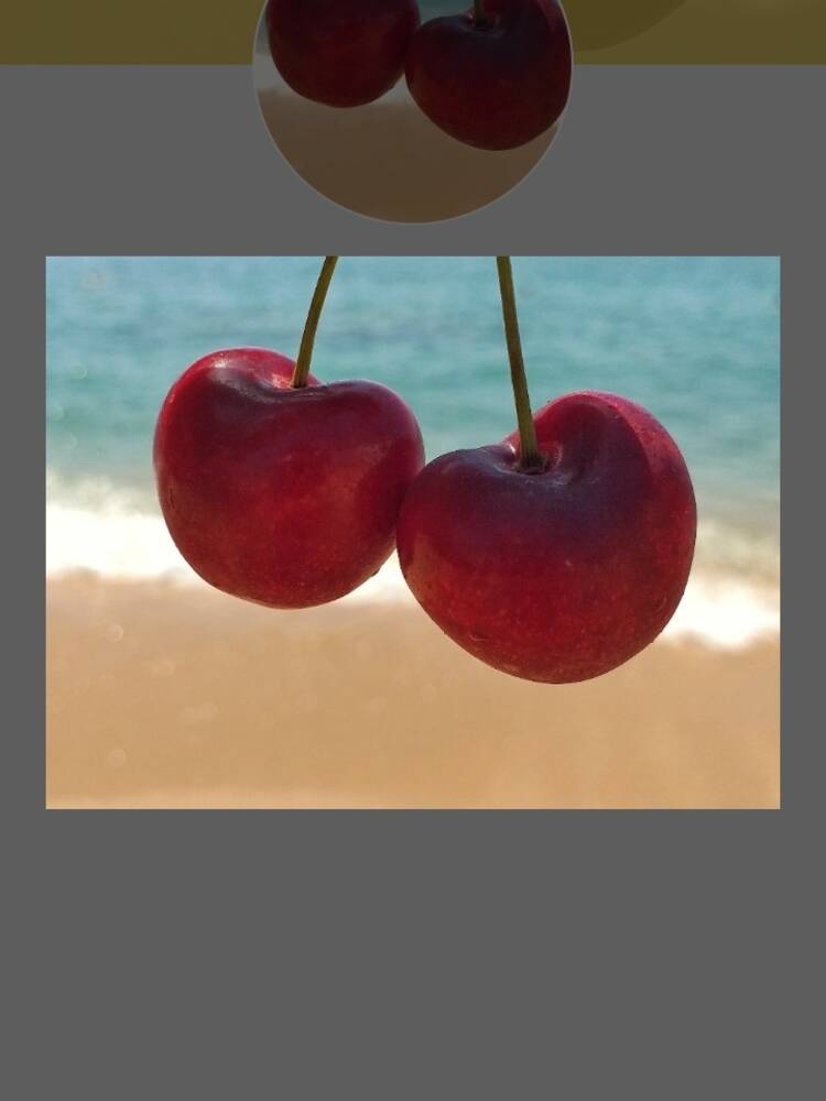 Foto de perfil de Silvia