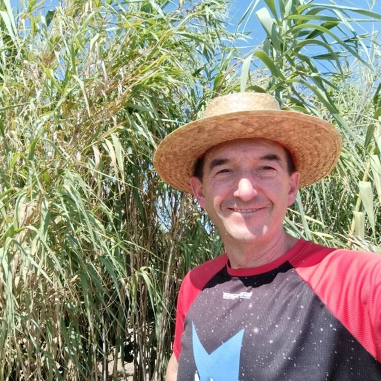 Foto de perfil