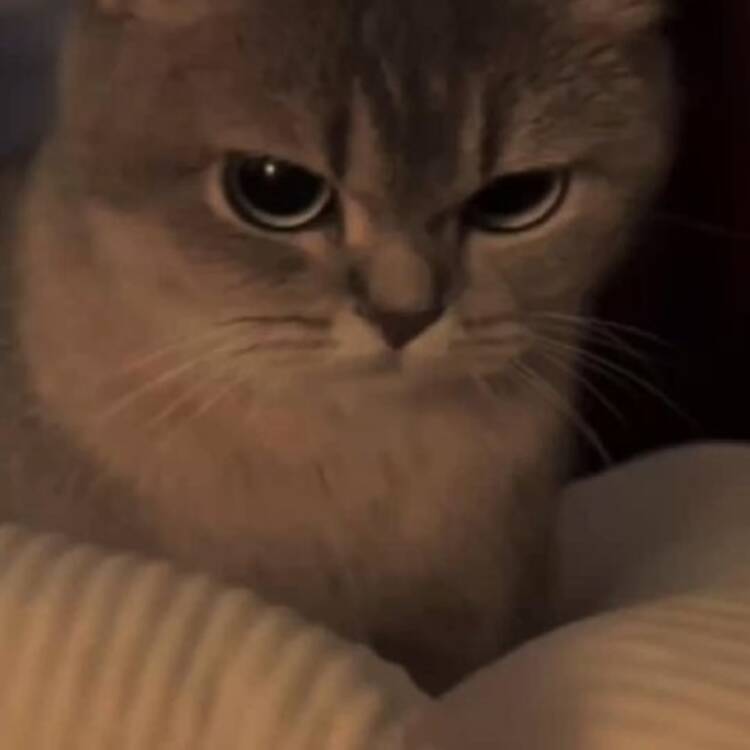 Foto de perfil de Elizabeth