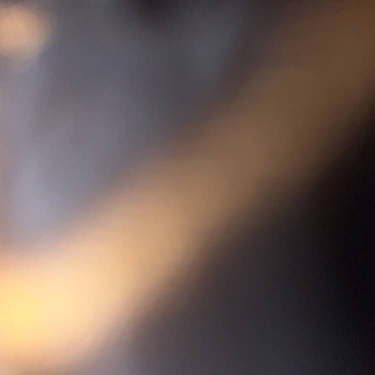 Foto de perfil de Carlos