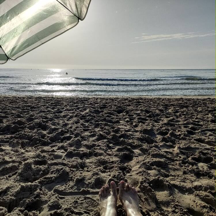 Foto de perfil de Sole