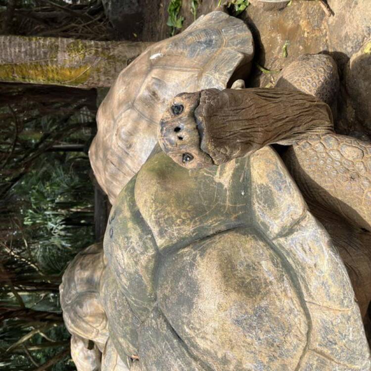 Foto de perfil de Berta