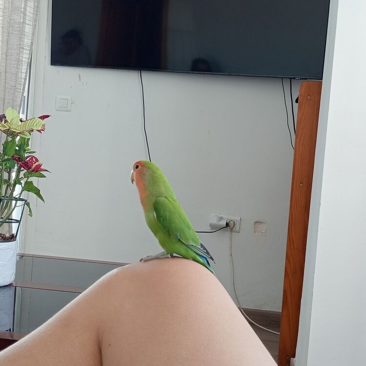 Foto de perfil de Dylan