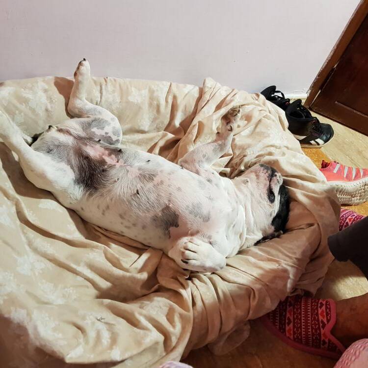 Foto de perfil