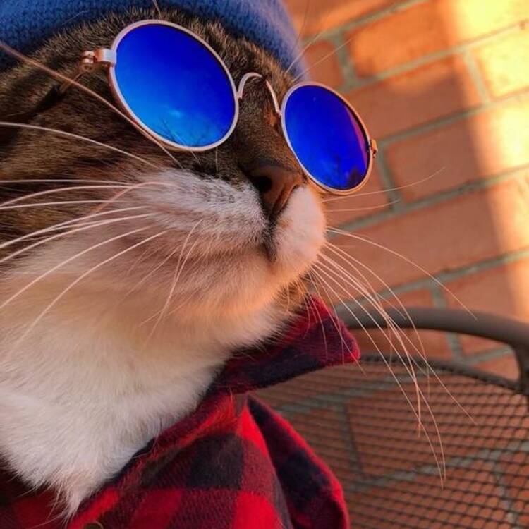 Foto de perfil