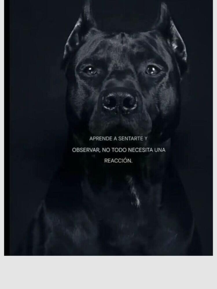 Foto de perfil de Beatriz
