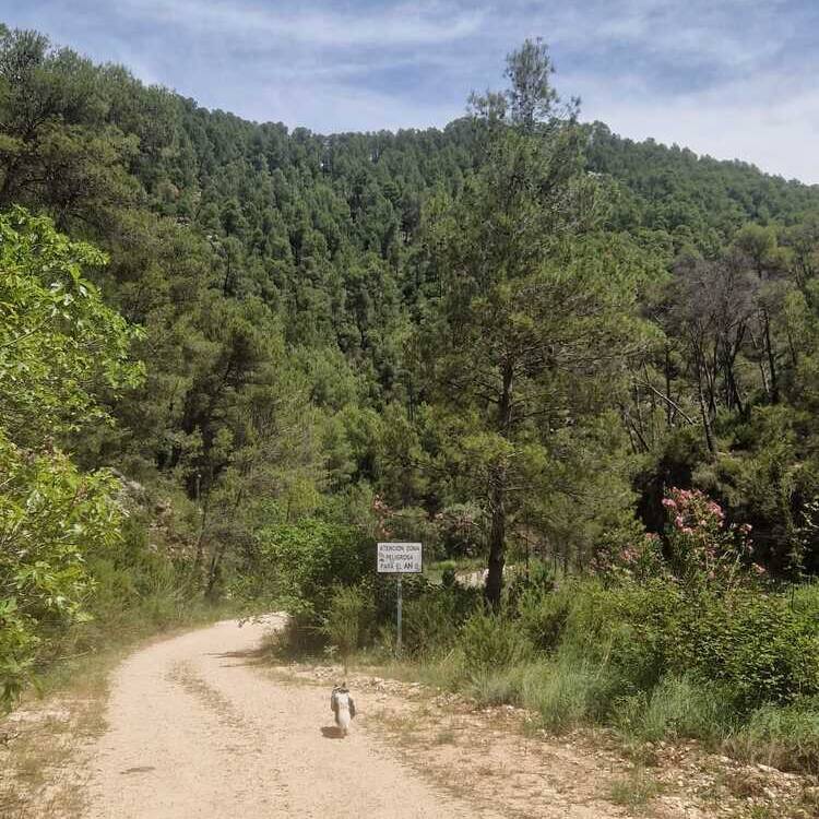 Foto de perfil de Margarita