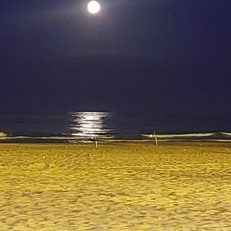 Foto de perfil de Antiky