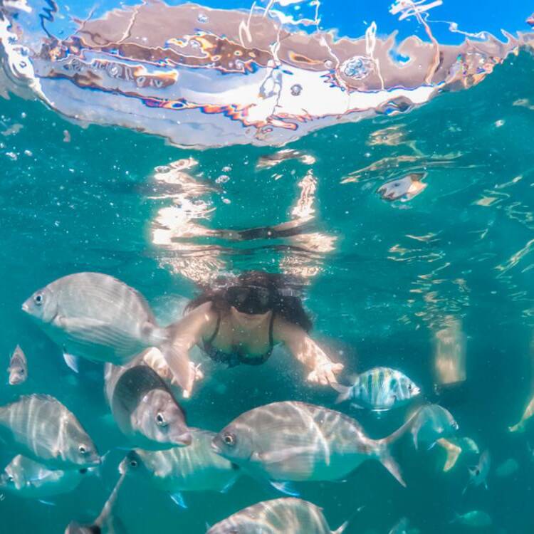 Foto de perfil de Anais