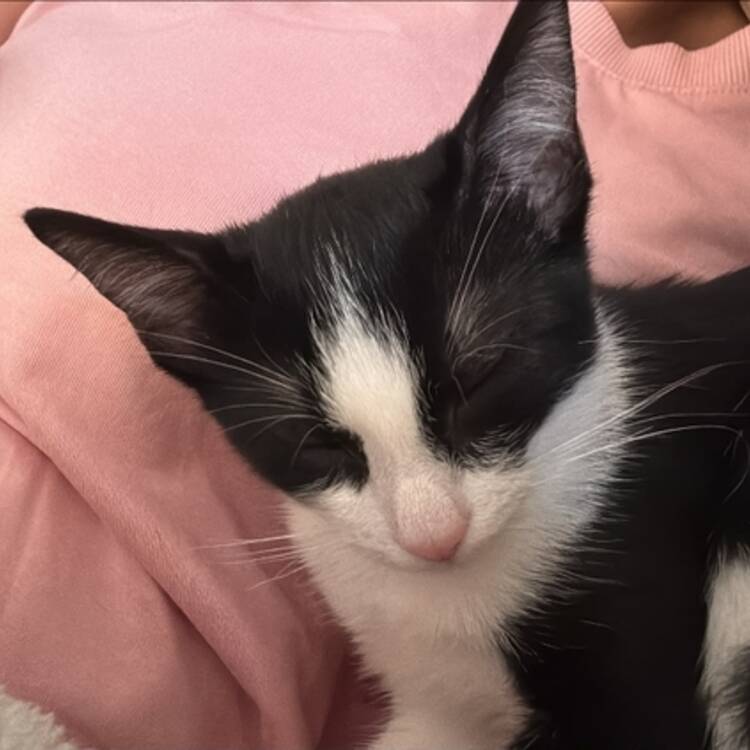 Foto de perfil de Merche