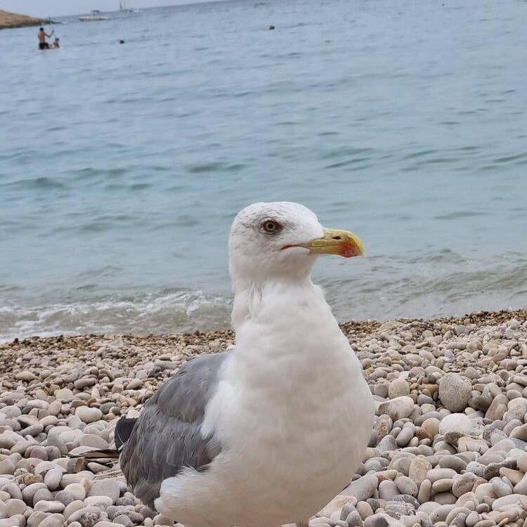 Foto de perfil de martha