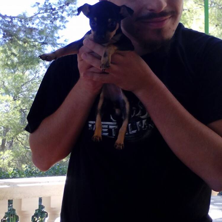 Foto de perfil