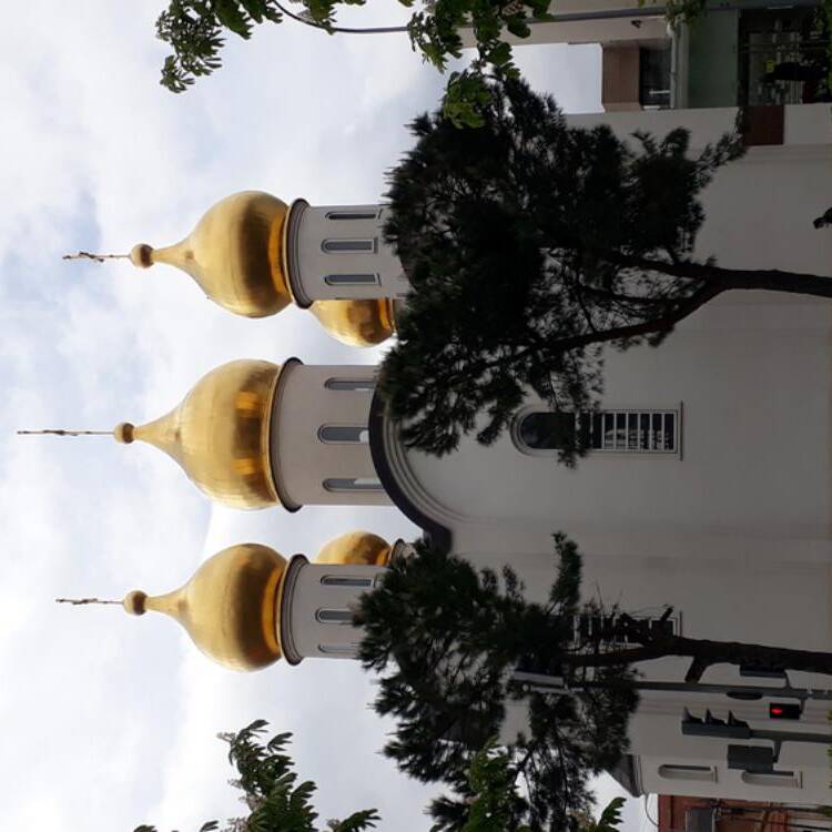 Foto de perfil
