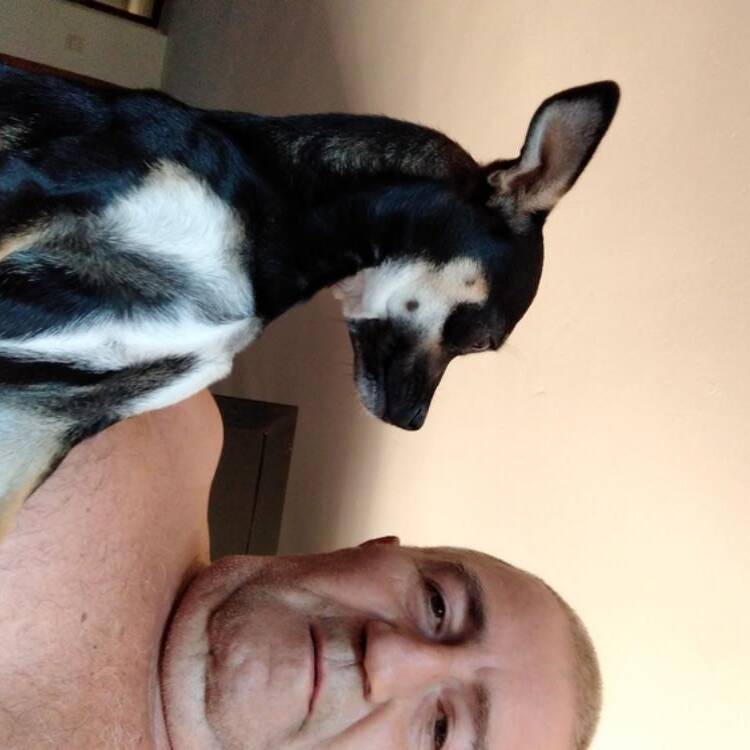 Foto de perfil