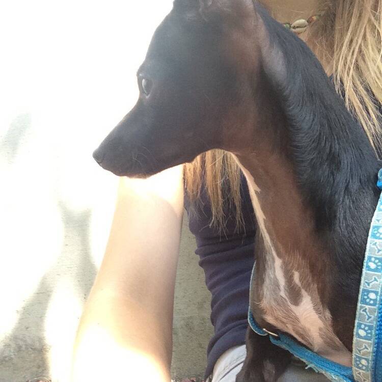 Foto de perfil